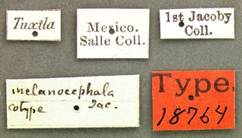 Media type: image; Entomology 18764   Aspect: labels